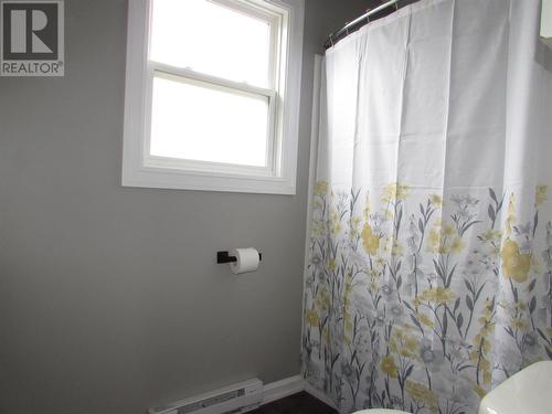 5 Penway Street, Corner Brook, NL - Indoor Photo Showing Bathroom