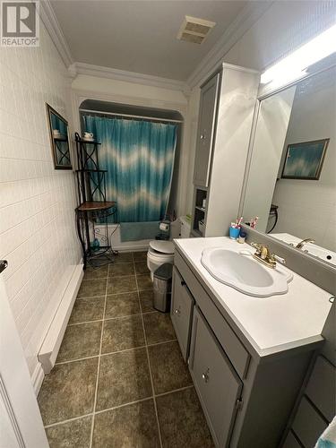 468 Main Street, Triton, NL - Indoor Photo Showing Bathroom