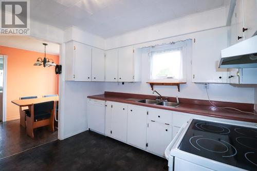 39A Fifth Avenue Extension, Deer Lake, NL - Indoor Photo Showing Kitchen With Double Sink