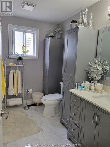 3574 Caribou Crescent, Windsor, ON - Indoor Photo Showing Bathroom