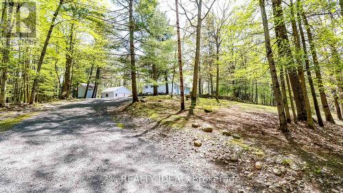 3711 Brunel Road, Lake Of Bays, ON - Outdoor