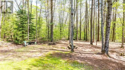 3711 Brunel Road, Lake Of Bays, ON - Outdoor With View