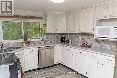 19 Newman Road, Kawartha Lakes, ON - Indoor Photo Showing Kitchen With Double Sink