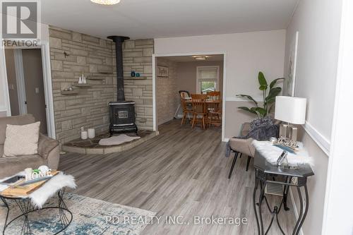 19 Newman Road, Kawartha Lakes, ON - Indoor Photo Showing Living Room With Fireplace