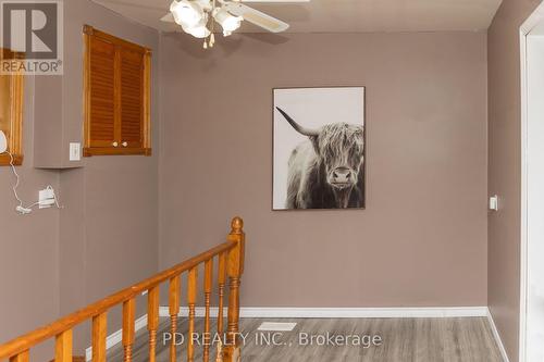 19 Newman Road, Kawartha Lakes, ON - Indoor Photo Showing Other Room