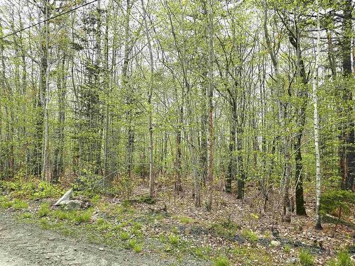 Lot 31 Ponhook Drive, Labelle, NS 