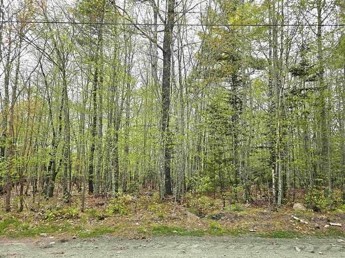 Lot 31 Ponhook Drive, Labelle, NS 