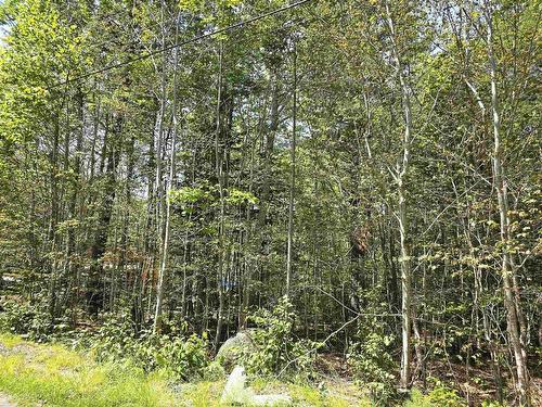 Lot 31 Ponhook Drive, Labelle, NS 