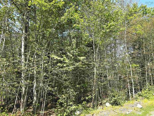 Lot 31 Ponhook Drive, Labelle, NS 