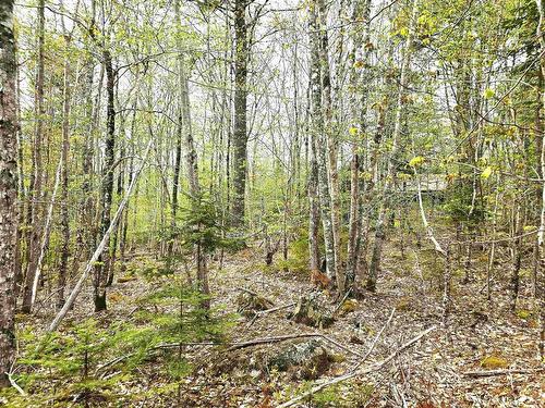 Lot 31 Ponhook Drive, Labelle, NS 