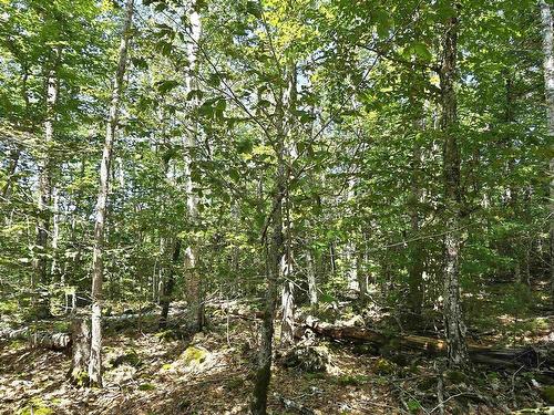 Lot 31 Ponhook Drive, Labelle, NS 