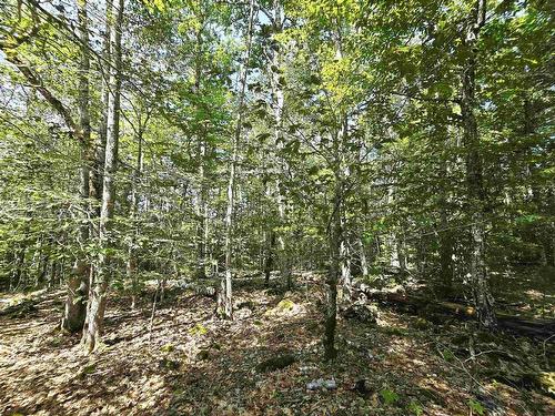 Lot 31 Ponhook Drive, Labelle, NS 