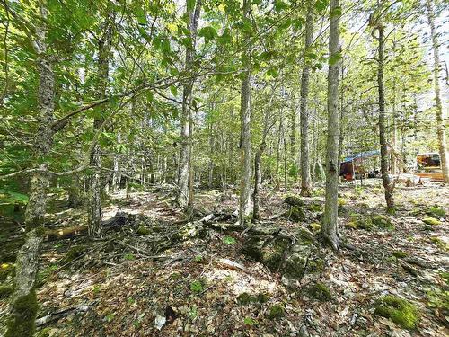 Lot 31 Ponhook Drive, Labelle, NS 