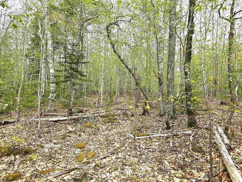 Lot 31 Ponhook Drive, Labelle, NS 