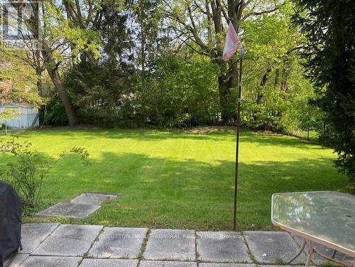 341 Pleasant Avenue, Toronto (Newtonbrook West), ON - Outdoor With Backyard