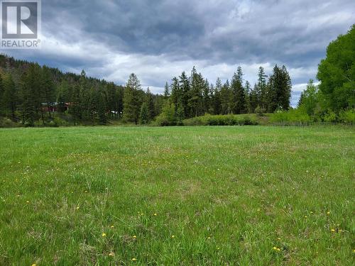 Lot 3 93 Highway, Grasmere, BC 