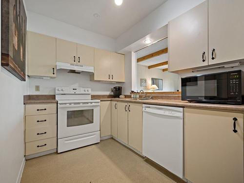 Cuisine - 484-211 Ch. De Lac-Tremblant-Nord, Mont-Tremblant, QC - Indoor Photo Showing Kitchen