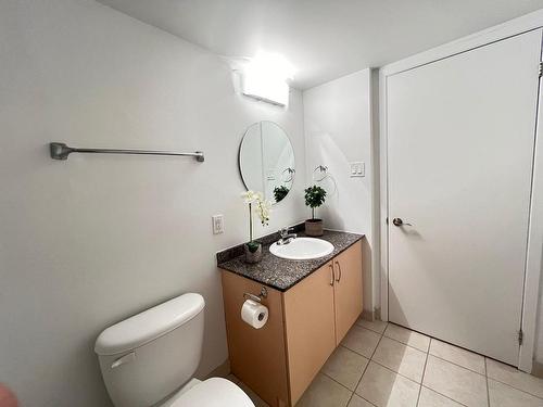 Salle de bains - 310-88 Rue Charlotte, Montréal (Ville-Marie), QC - Indoor Photo Showing Bathroom