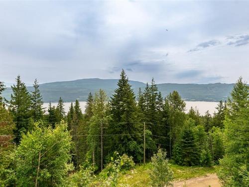 2857 Vickers Trail, Anglemont, BC - Outdoor With View