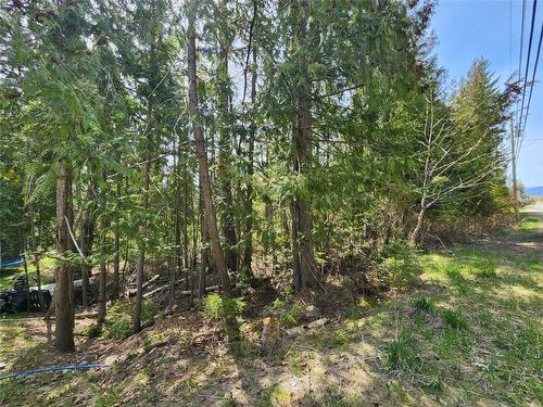 Lot 206 Estate Drive, Anglemont, BC - Outdoor With View