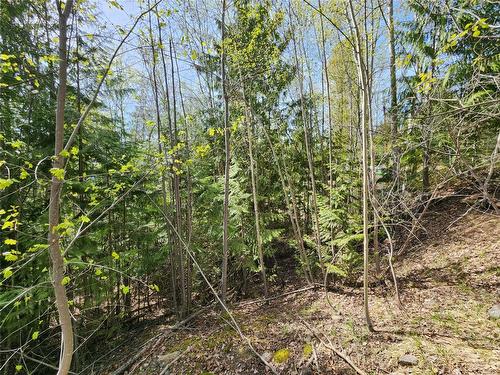 Lot 206 Estate Drive, Anglemont, BC - Outdoor With View