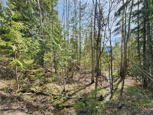 Lot 206 Estate Drive, Anglemont, BC - Outdoor With View