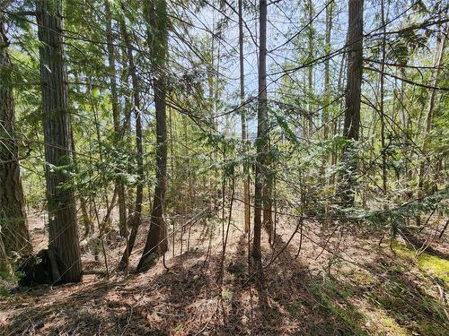 Lot 206 Estate Drive, Anglemont, BC - Outdoor With View