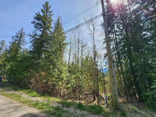 Lot 206 Estate Drive, Anglemont, BC - Outdoor With View