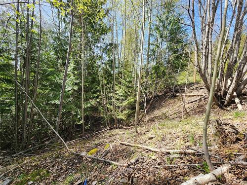 Lot 206 Estate Drive, Anglemont, BC - Outdoor With View