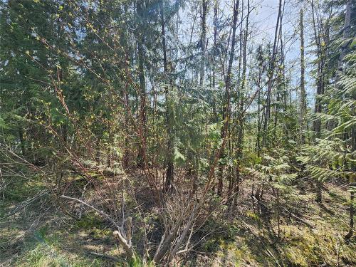 Lot 206 Estate Drive, Anglemont, BC - Outdoor With View