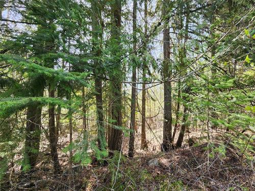 Lot 206 Estate Drive, Anglemont, BC - Outdoor