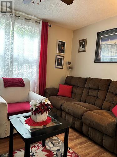 16 Macklin Place, St. John’S, NL - Indoor Photo Showing Living Room