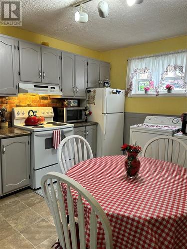 16 Macklin Place, St. John’S, NL - Indoor Photo Showing Laundry Room