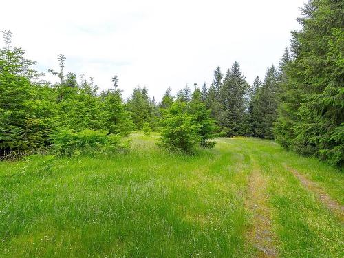 Lot 2 Kingburne Dr, Cobble Hill, BC 