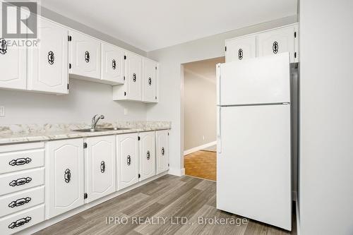 197 - 197 Kingham Road, Halton Hills (Acton), ON - Indoor Photo Showing Kitchen With Double Sink