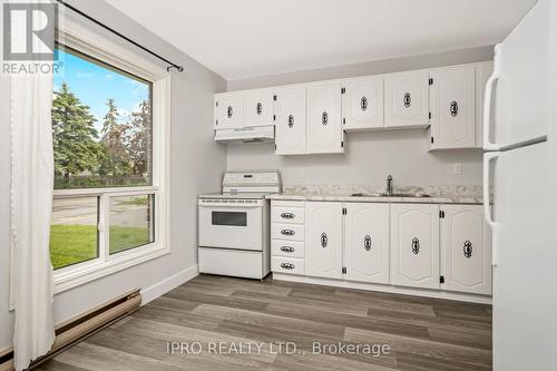 197 - 197 Kingham Road, Halton Hills (Acton), ON - Indoor Photo Showing Kitchen With Double Sink