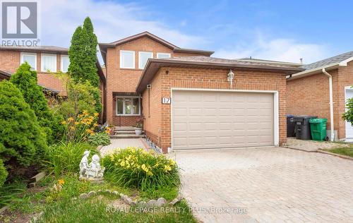 17 Hanson Road, Mississauga (Fairview), ON - Outdoor