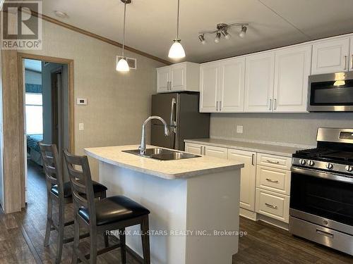 657 Thunder Bridge Road, Kawartha Lakes (Lindsay), ON - Indoor Photo Showing Kitchen With Double Sink