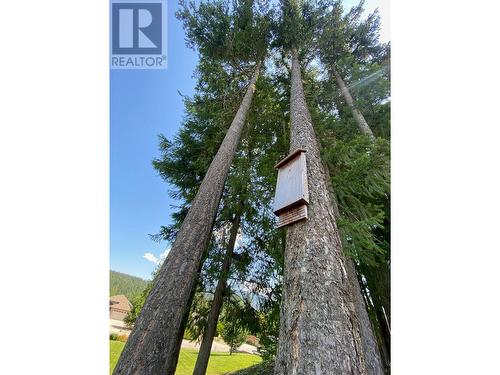 Mature trees with bat house. - 2726 Golf Course Drive, Blind Bay, BC - Outdoor