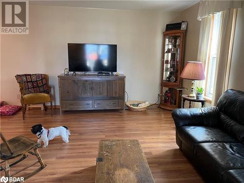 794046 Grey Rd 124 Road, Singhampton, ON - Indoor Photo Showing Living Room