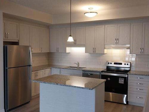 A07-142 Foamflower Pl, Kitchener, ON - Indoor Photo Showing Kitchen With Upgraded Kitchen