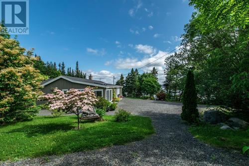 168 Main Road, Old Shop, NL - Outdoor