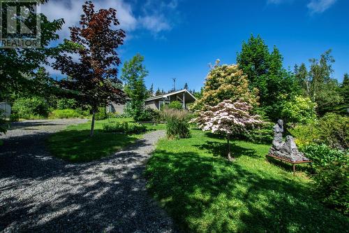 168 Main Road, Old Shop, NL - Outdoor