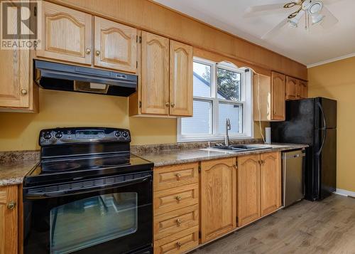 13 Gosling Street, St. John'S, NL - Indoor Photo Showing Kitchen With Double Sink