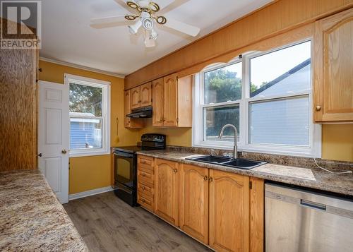 13 Gosling Street, St. John'S, NL - Indoor Photo Showing Kitchen With Double Sink