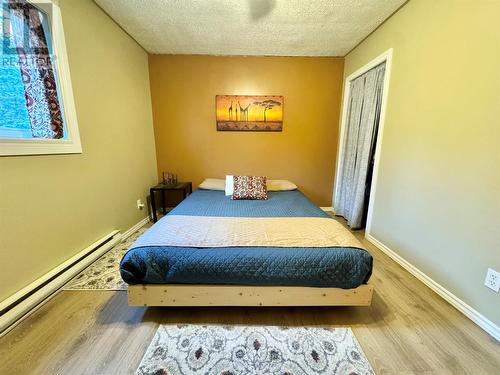 38 Road To The Isles Other, Summerford, NL - Indoor Photo Showing Bedroom