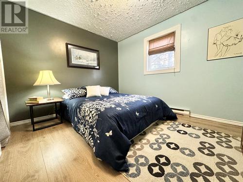 38 Road To The Isles Other, Summerford, NL - Indoor Photo Showing Bedroom