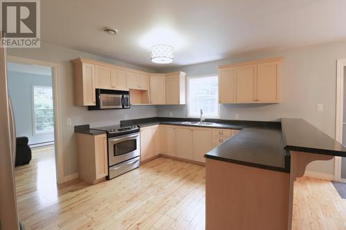 10 Park Drive, Rocky Harbour, NL - Indoor Photo Showing Kitchen With Double Sink