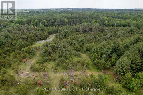 262 Johnston Road, Centre Hastings, ON 