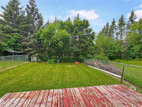 76 Centennial Drive, Onanole, MB - Outdoor With Backyard